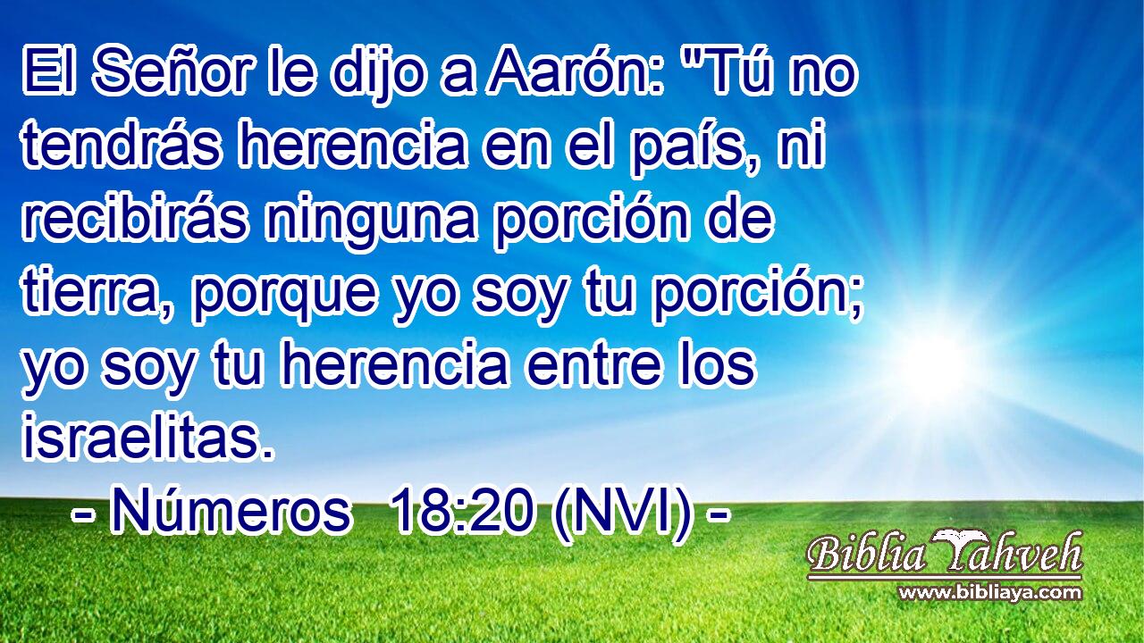 El Señor le dijo a Aarón: 