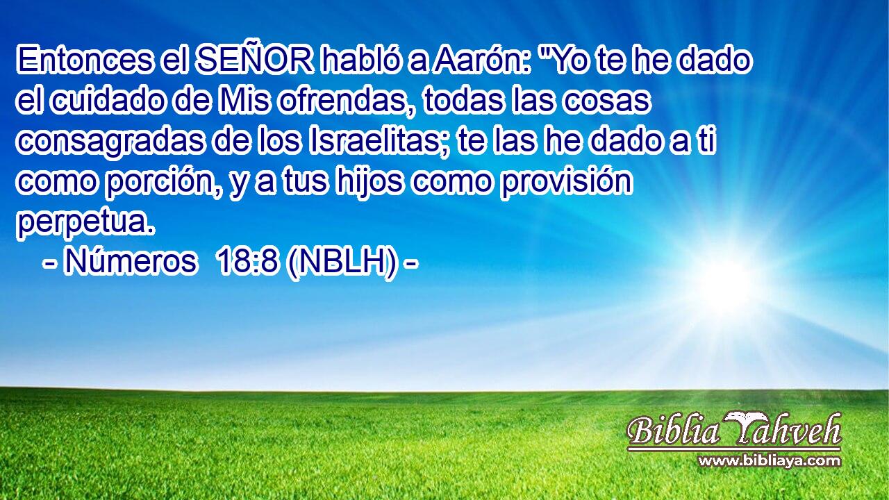  Entonces el SEÑOR habló a Aarón: 