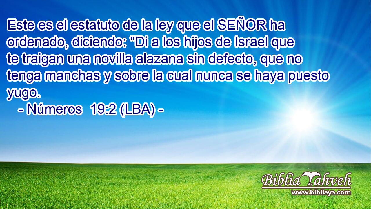 Este es el estatuto de la ley que el SEÑOR ha ordenado, diciendo: 