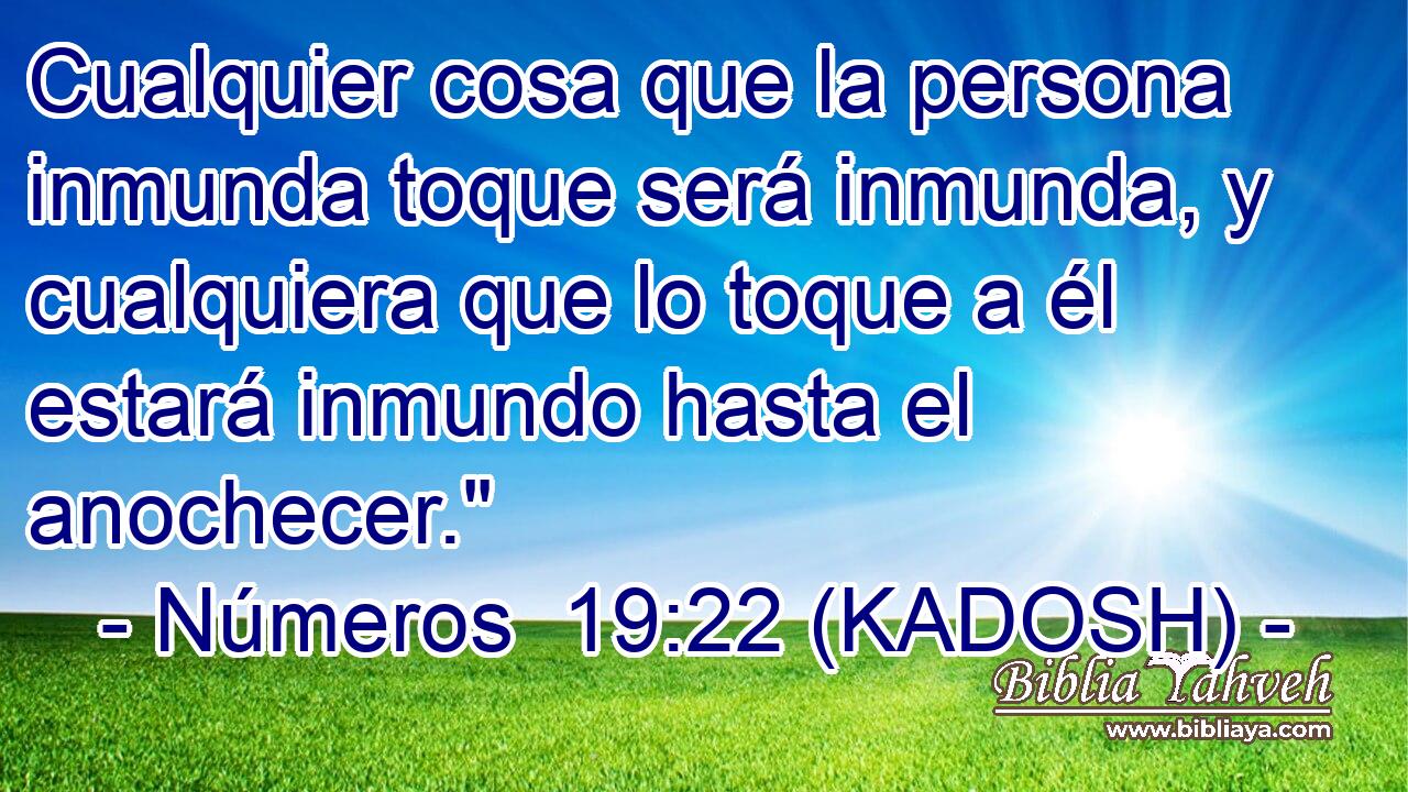  Cualquier cosa que la persona inmunda toque será inmunda, y cualquiera que lo toque a él estará inmundo hasta el anochecer.