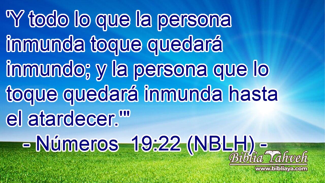  'Y todo lo que la persona inmunda toque quedará inmundo; y la persona que lo toque quedará inmunda hasta el atardecer.'