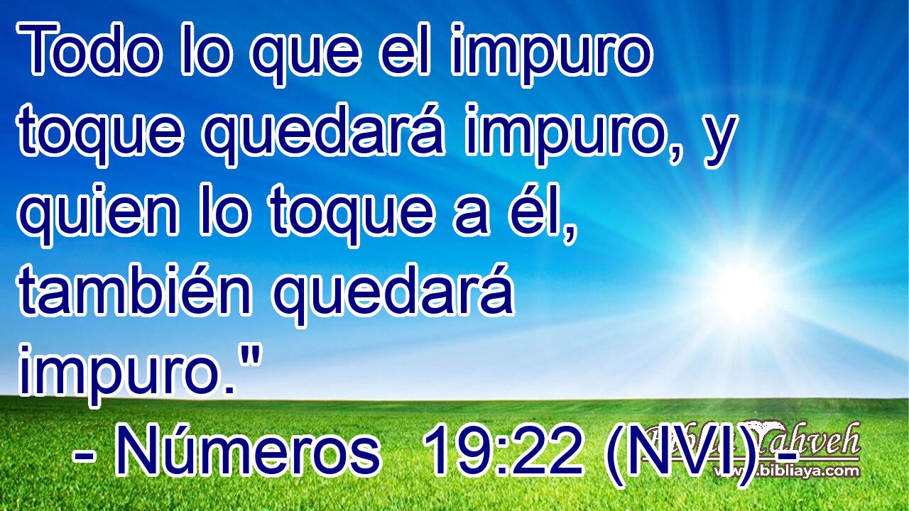  Todo lo que el impuro toque quedará impuro, y quien lo toque a él, también quedará impuro.