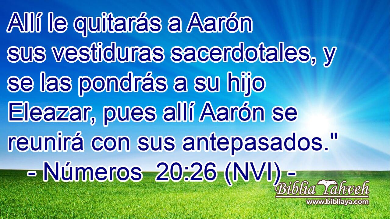  Allí le quitarás a Aarón sus vestiduras sacerdotales, y se las pondrás a su hijo Eleazar, pues allí Aarón se reunirá con sus antepasados.