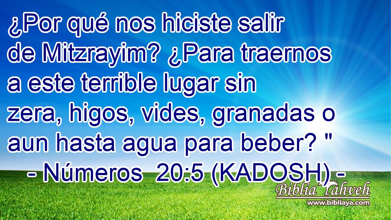  ¿Por qué nos hiciste salir de Mitzrayim? ¿Para traernos a este terrible lugar sin zera, higos, vides, granadas o aun hasta agua para beber? 