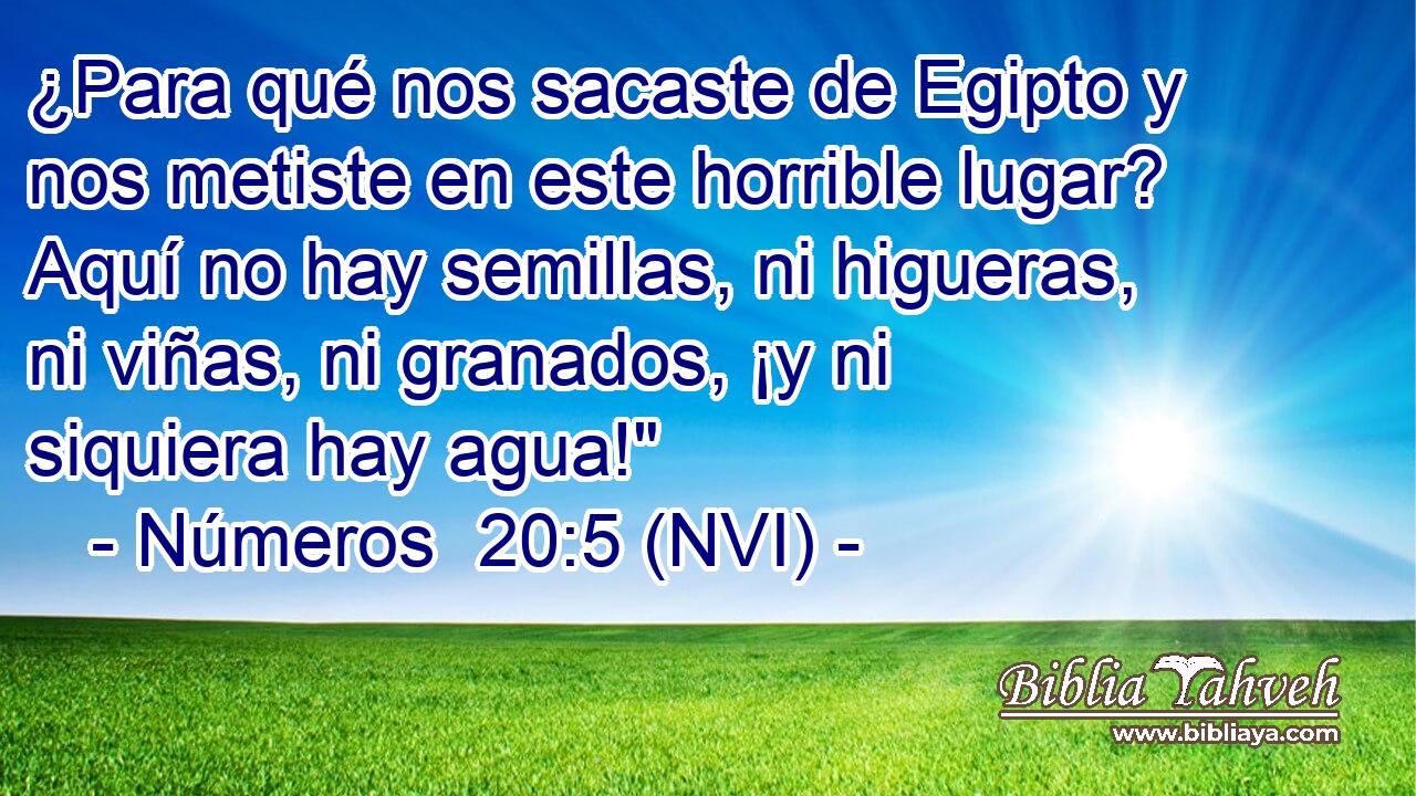 ¿Para qué nos sacaste de Egipto y nos metiste en este horrible lugar? Aquí no hay semillas, ni higueras, ni viñas, ni granados, ¡y ni siquiera hay agua!