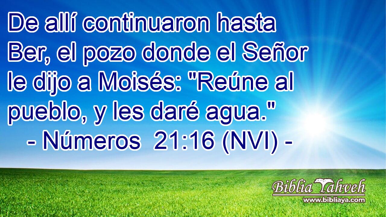  De allí continuaron hasta Ber, el pozo donde el Señor le dijo a Moisés: 