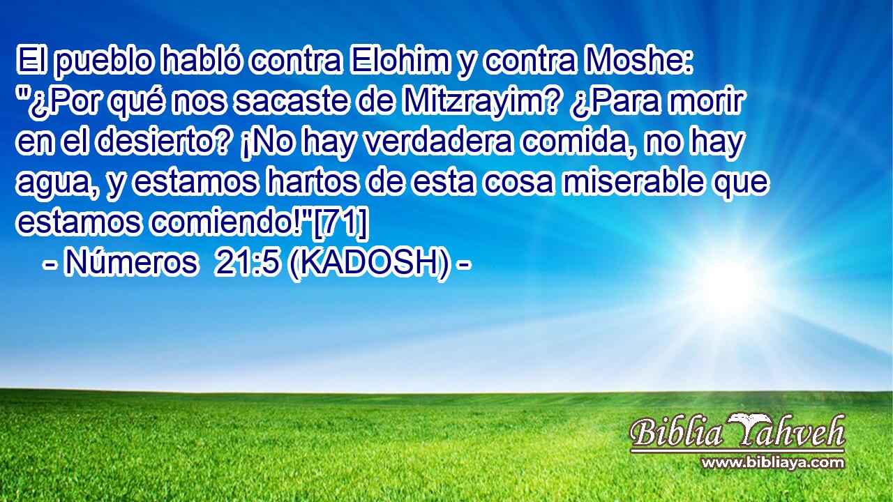  El pueblo habló contra Elohim y contra Moshe: 