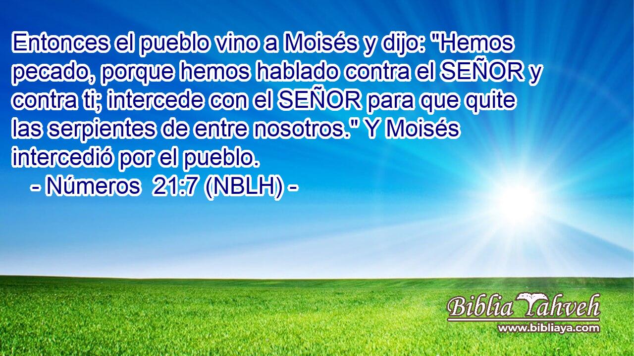  Entonces el pueblo vino a Moisés y dijo: 