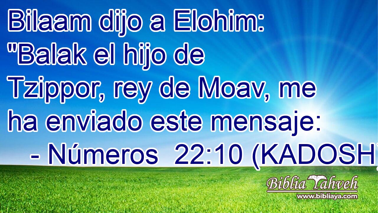  Bilaam dijo a Elohim: 