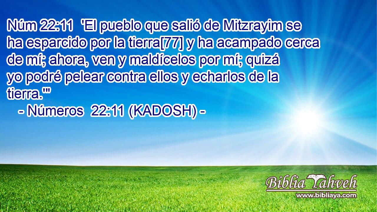  'El pueblo que salió de Mitzrayim se ha esparcido por la tierra[77] y ha acampado cerca de mí; ahora, ven y maldícelos por mí; quizá yo podré pelear contra ellos y echarlos de la tierra.'