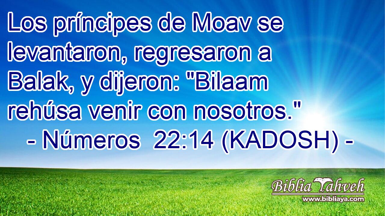  Los príncipes de Moav se levantaron, regresaron a Balak, y dijeron: 