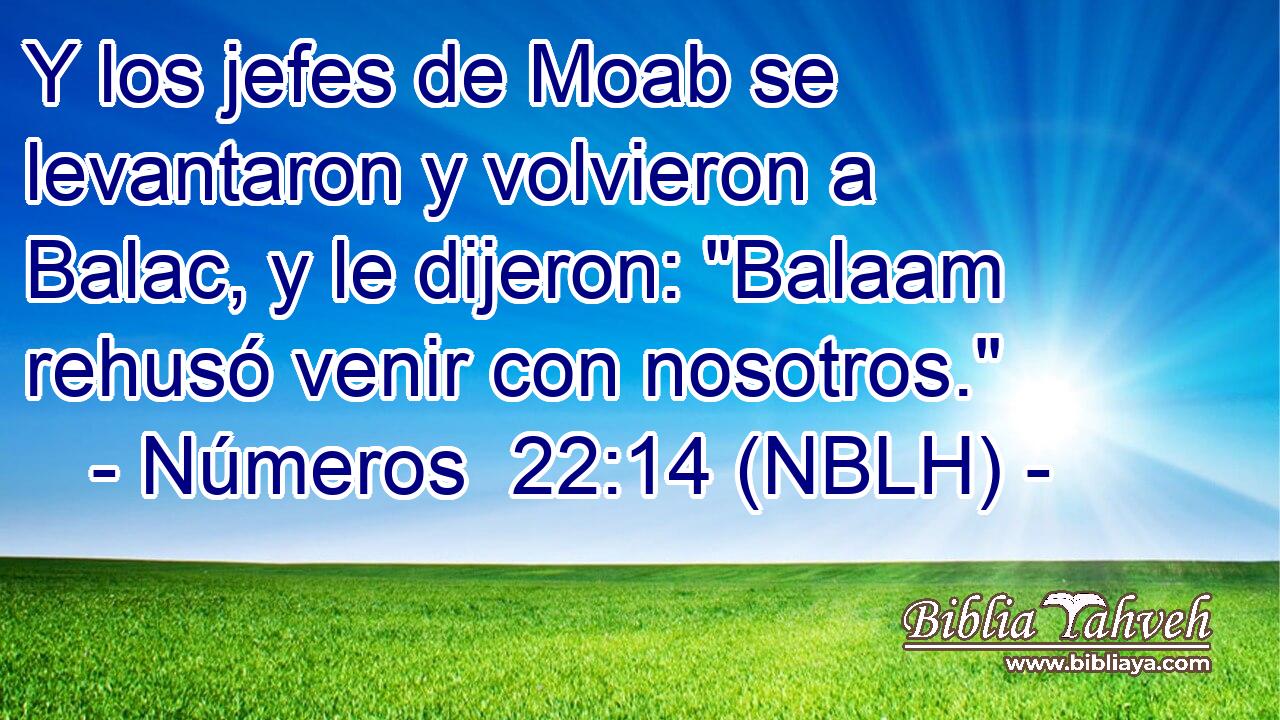  Y los jefes de Moab se levantaron y volvieron a Balac, y le dijeron: 