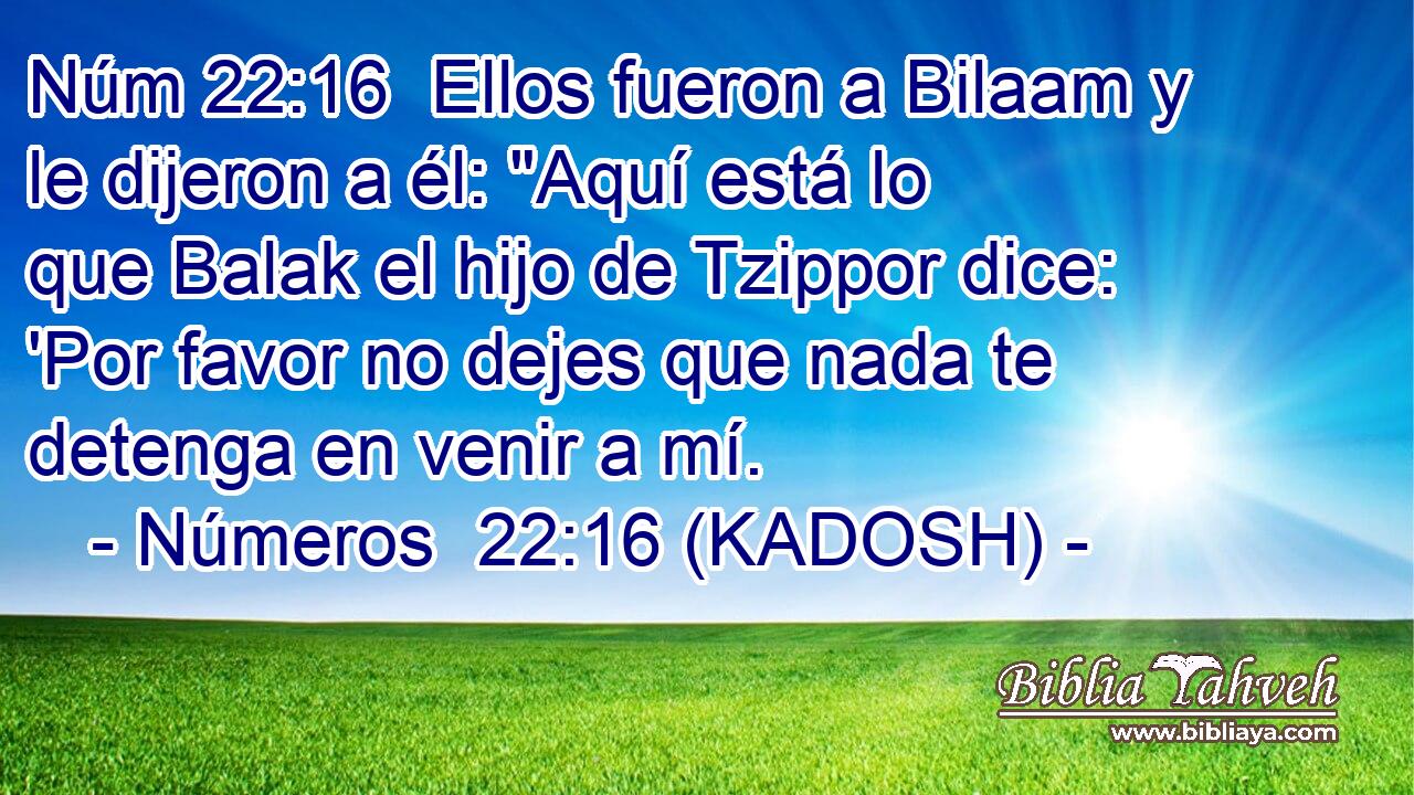  Ellos fueron a Bilaam y le dijeron a él: 