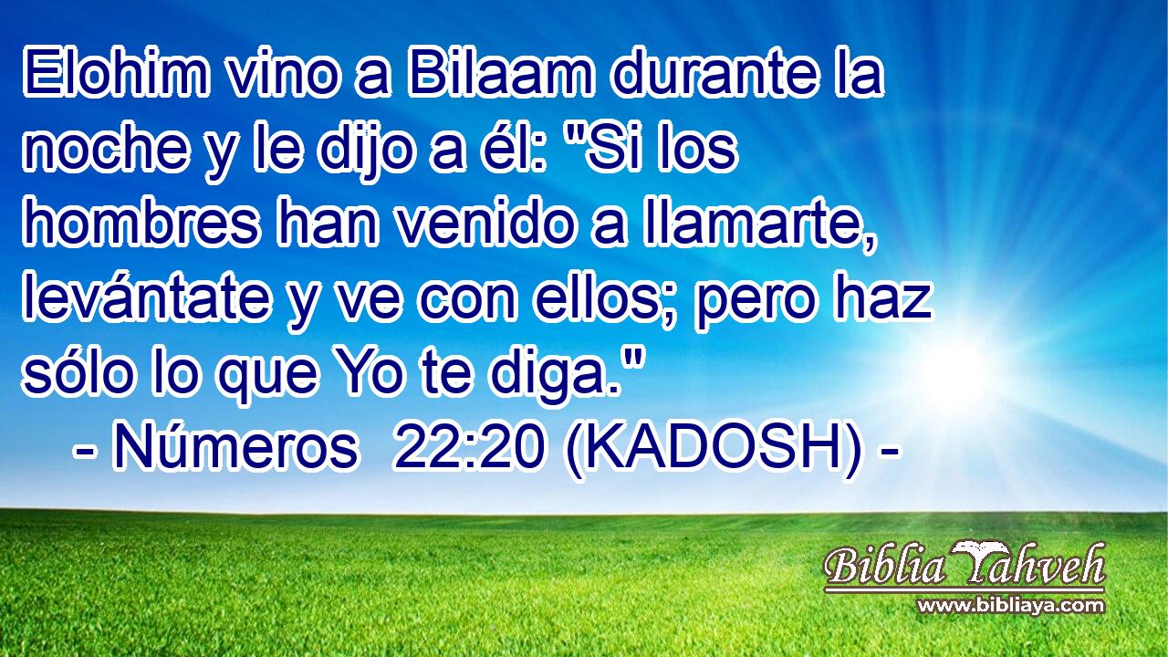  Elohim vino a Bilaam durante la noche y le dijo a él: 