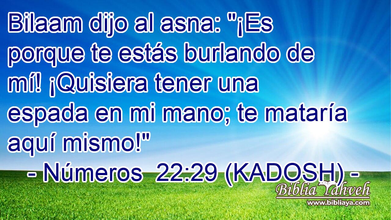  Bilaam dijo al asna: 