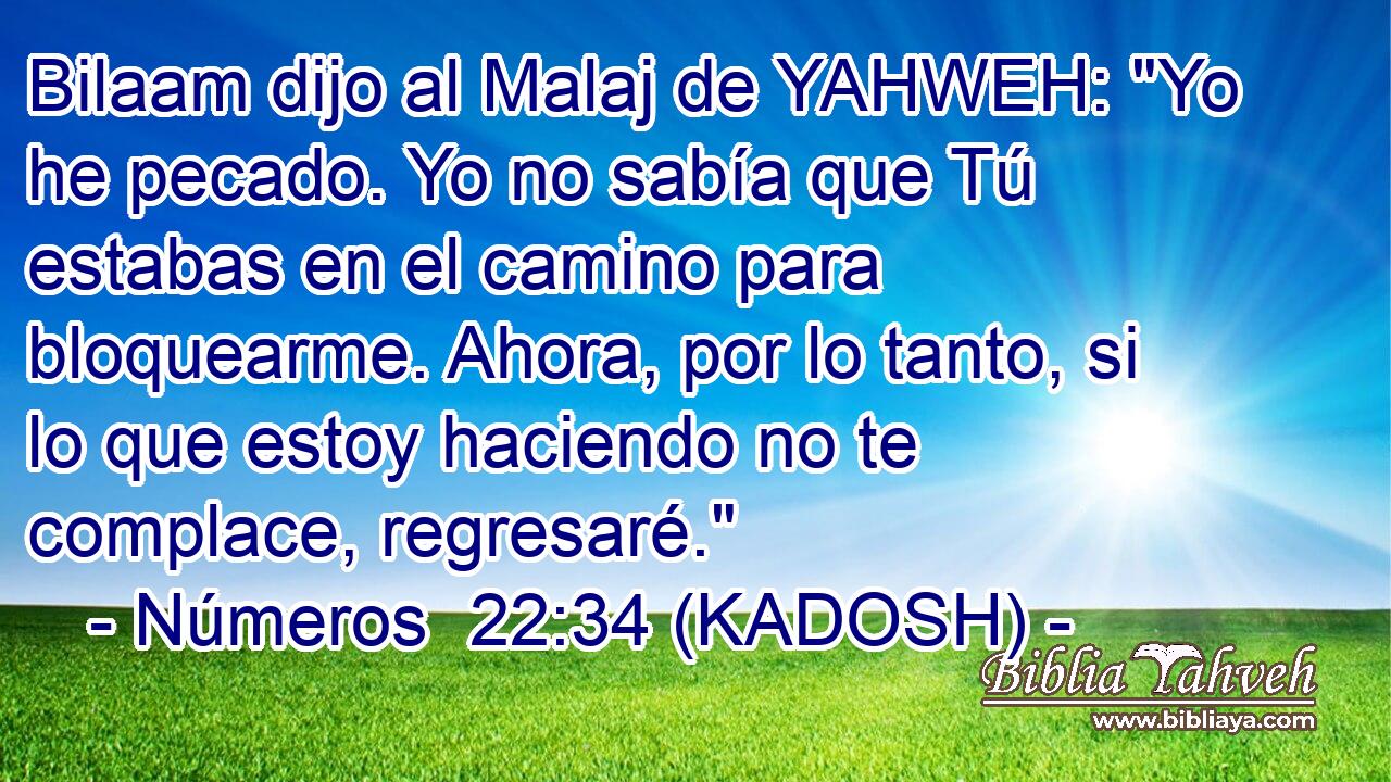  Bilaam dijo al Malaj de YAHWEH: 