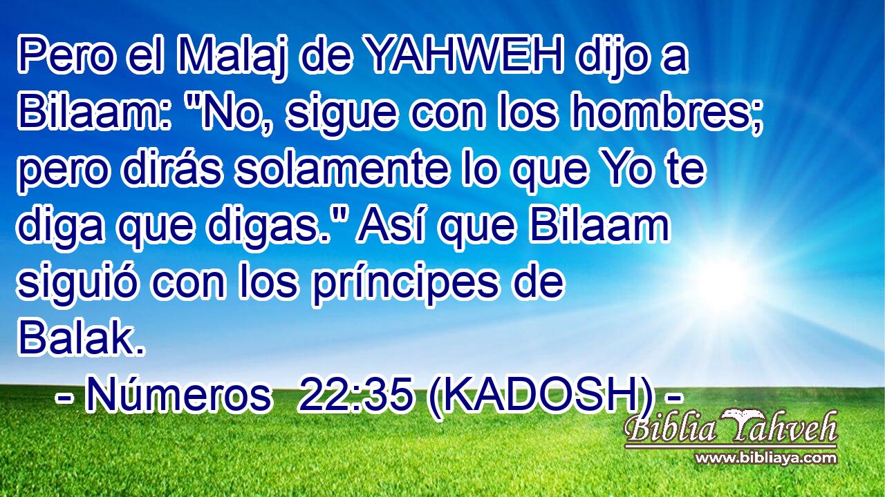  Pero el Malaj de YAHWEH dijo a Bilaam: 