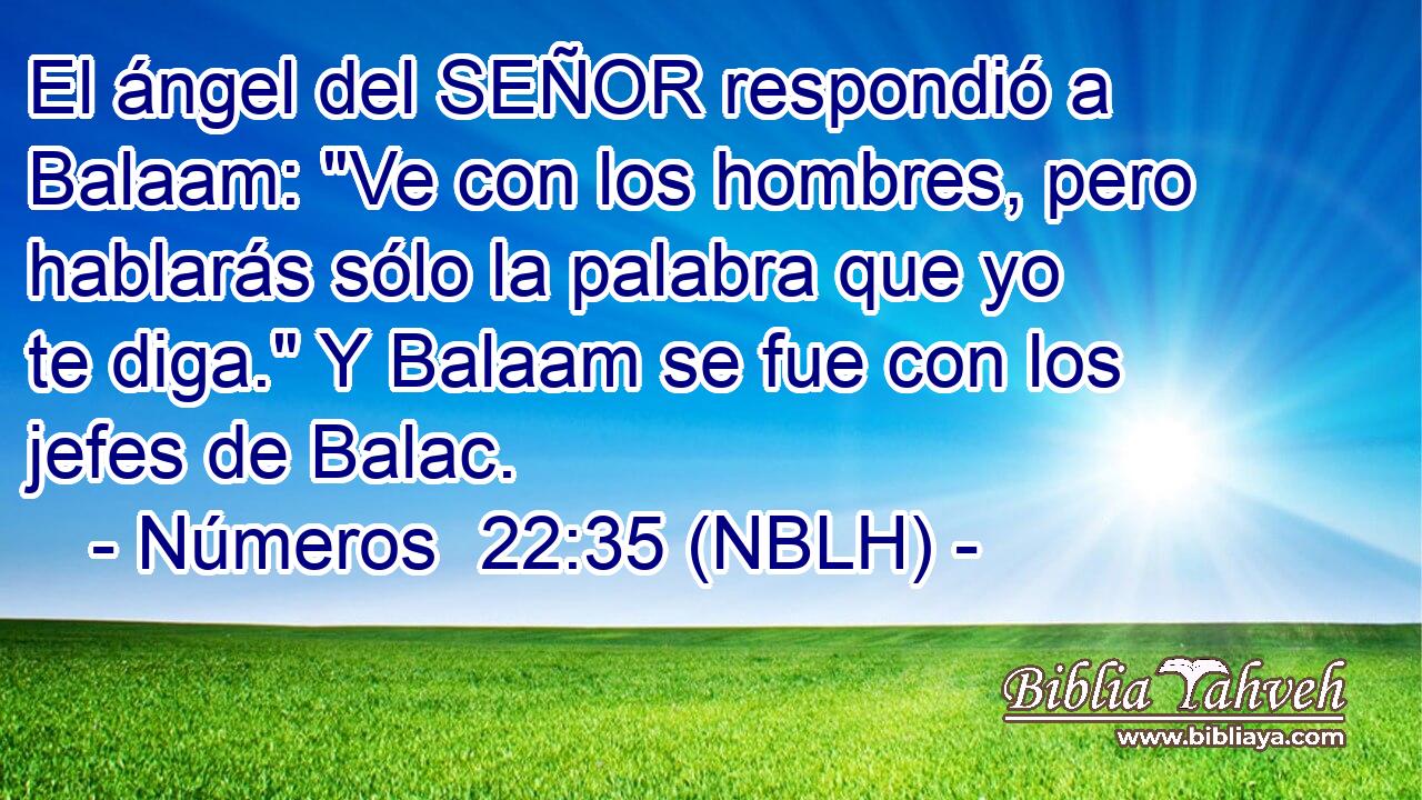  El ángel del SEÑOR respondió a Balaam: 