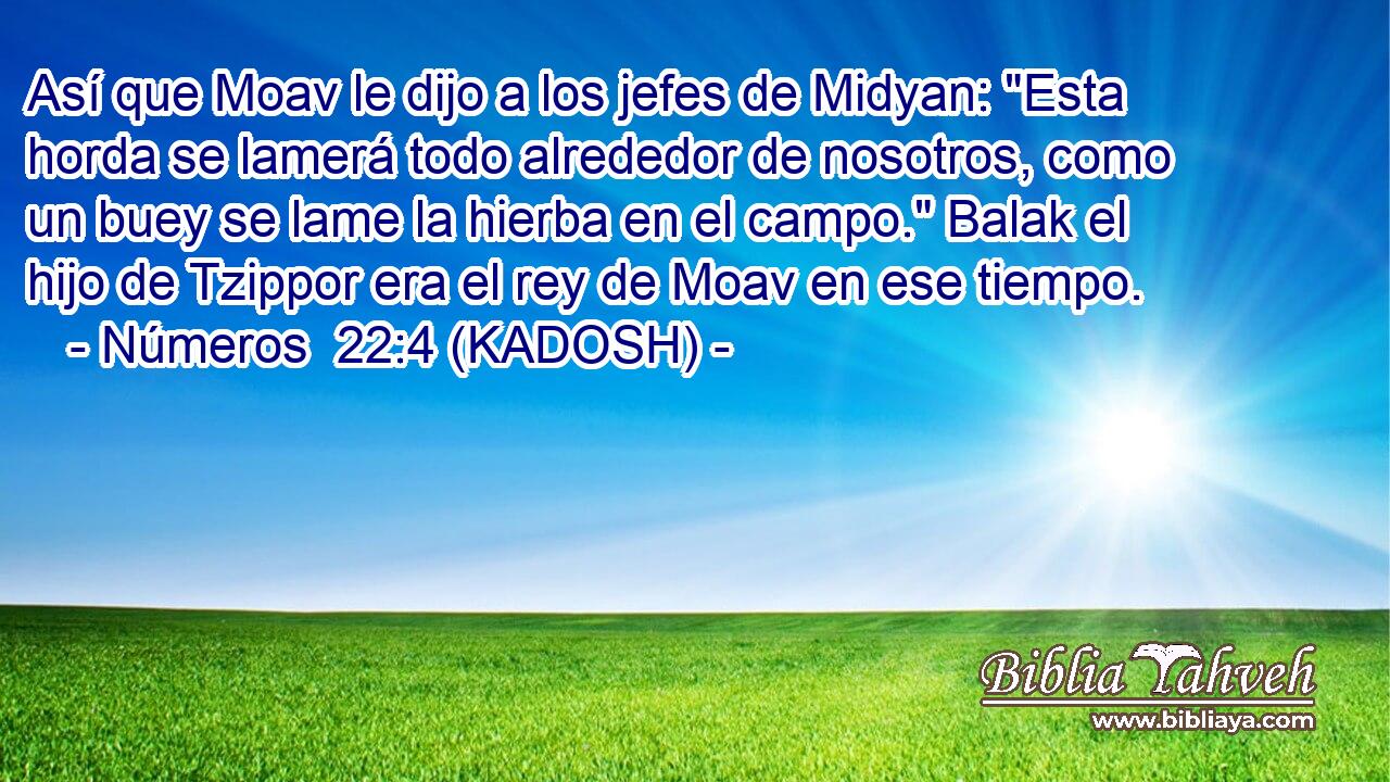  Así que Moav le dijo a los jefes de Midyan: 