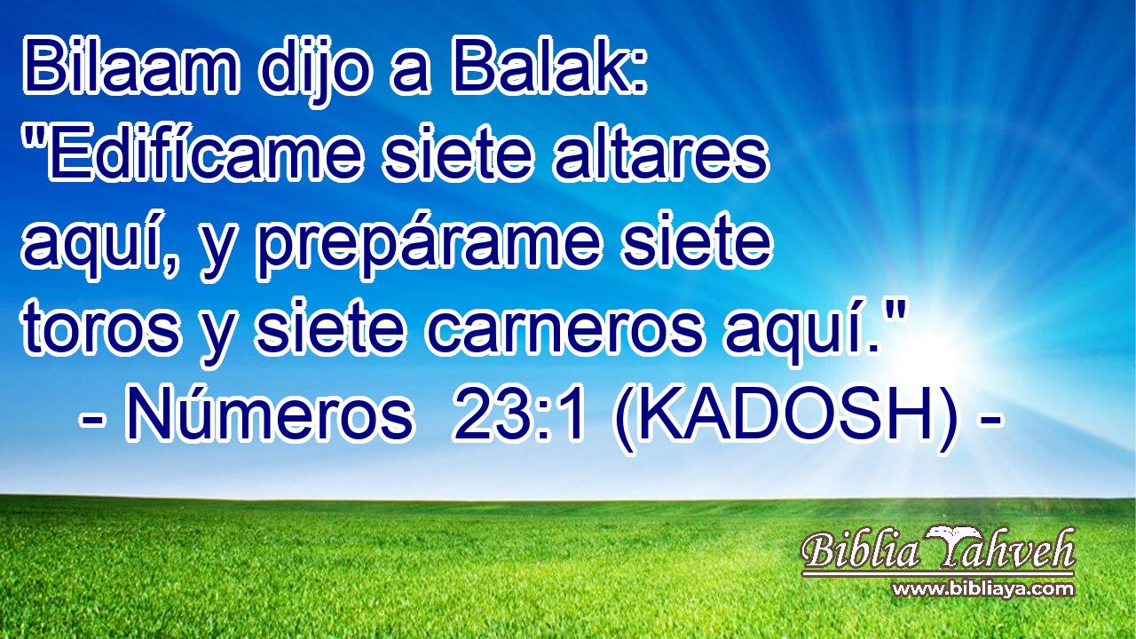  Bilaam dijo a Balak: 