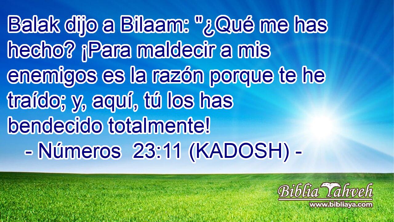  Balak dijo a Bilaam: 