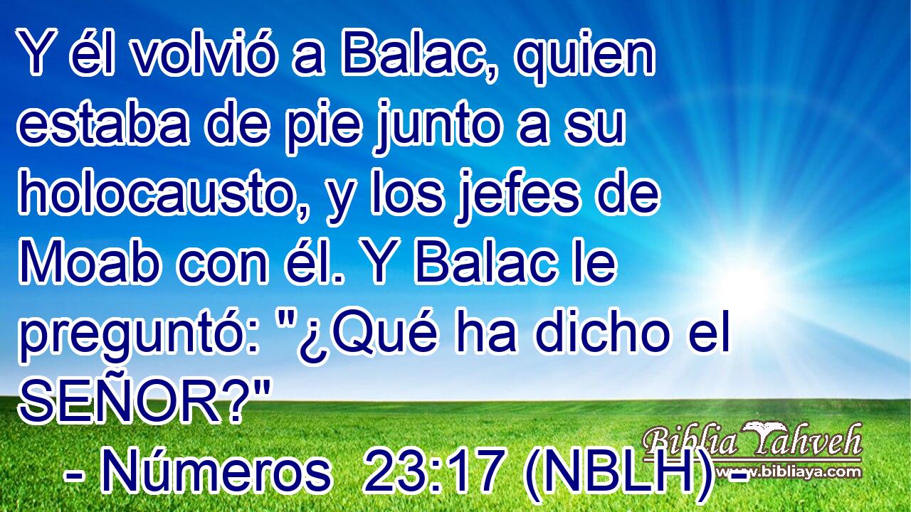  Y él volvió a Balac, quien estaba de pie junto a su holocausto, y los jefes de Moab con él. Y Balac le preguntó: 