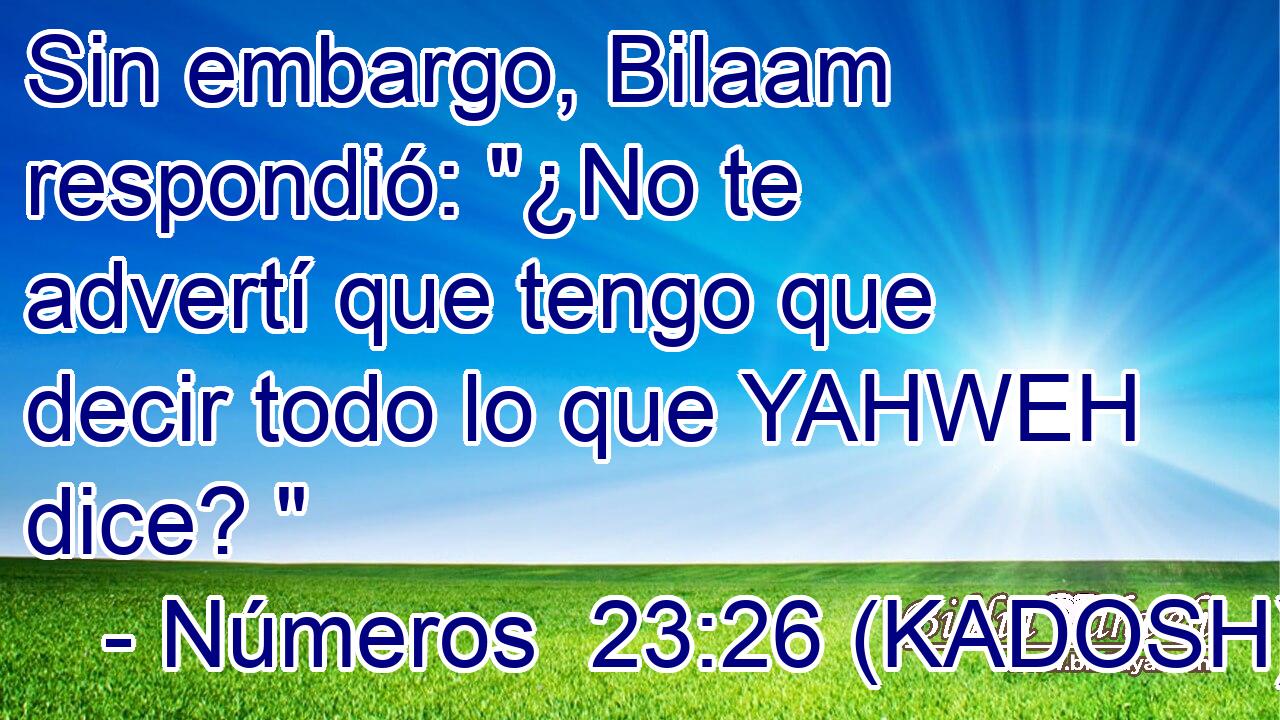  Sin embargo, Bilaam respondió: 