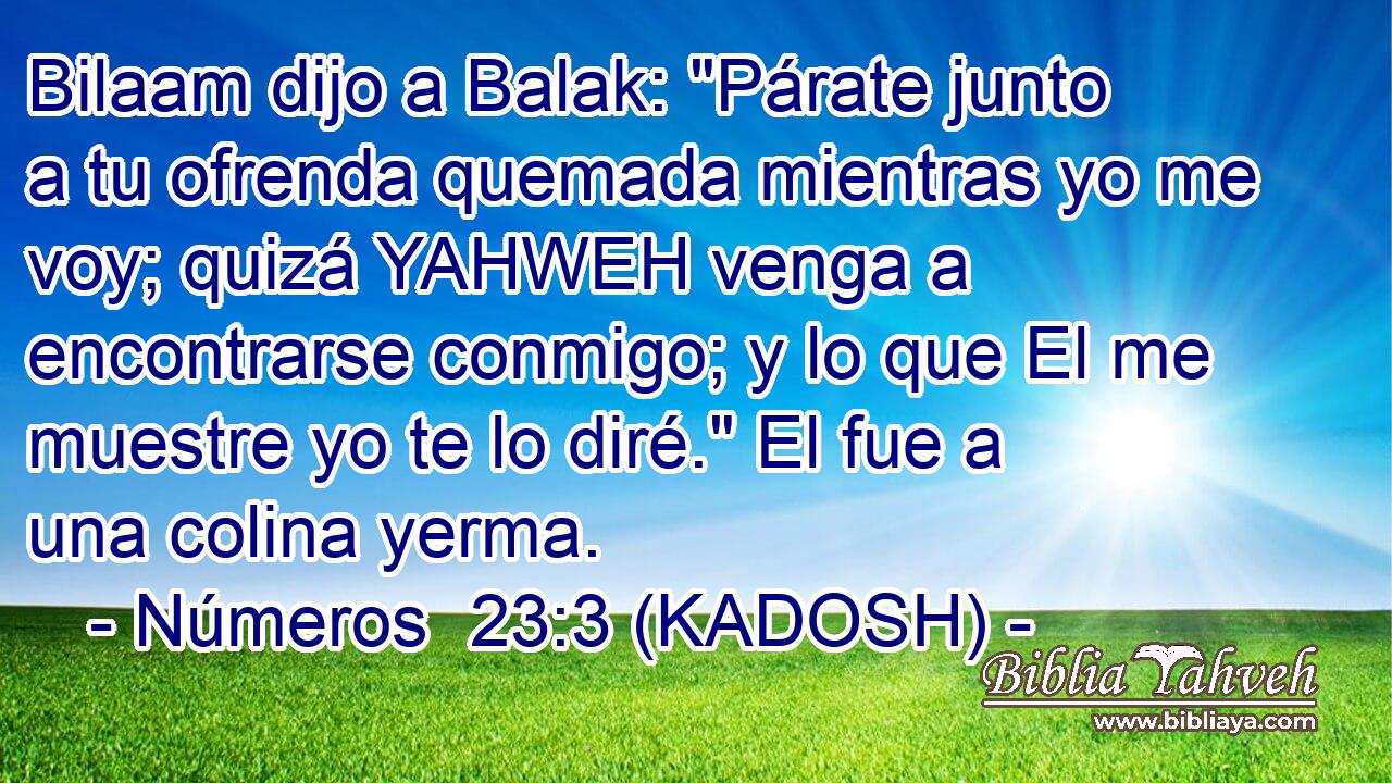  Bilaam dijo a Balak: 