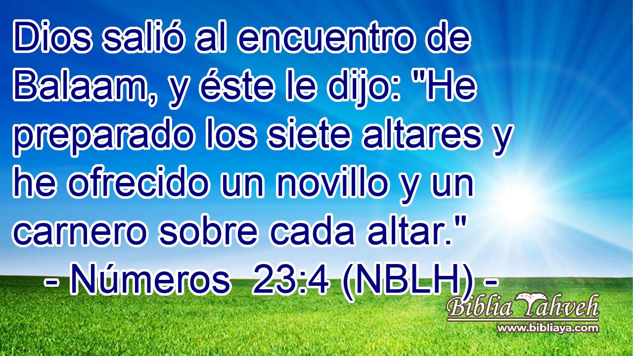  Dios salió al encuentro de Balaam, y éste le dijo: 