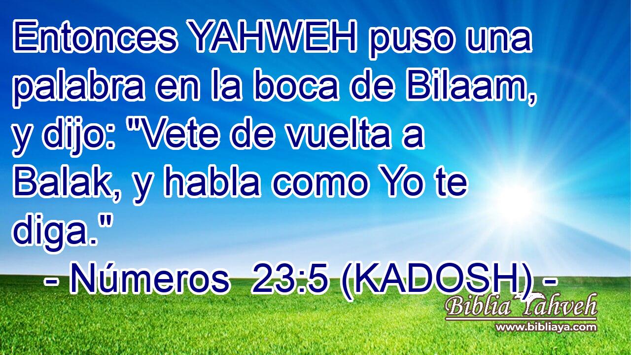  Entonces YAHWEH puso una palabra en la boca de Bilaam, y dijo: 