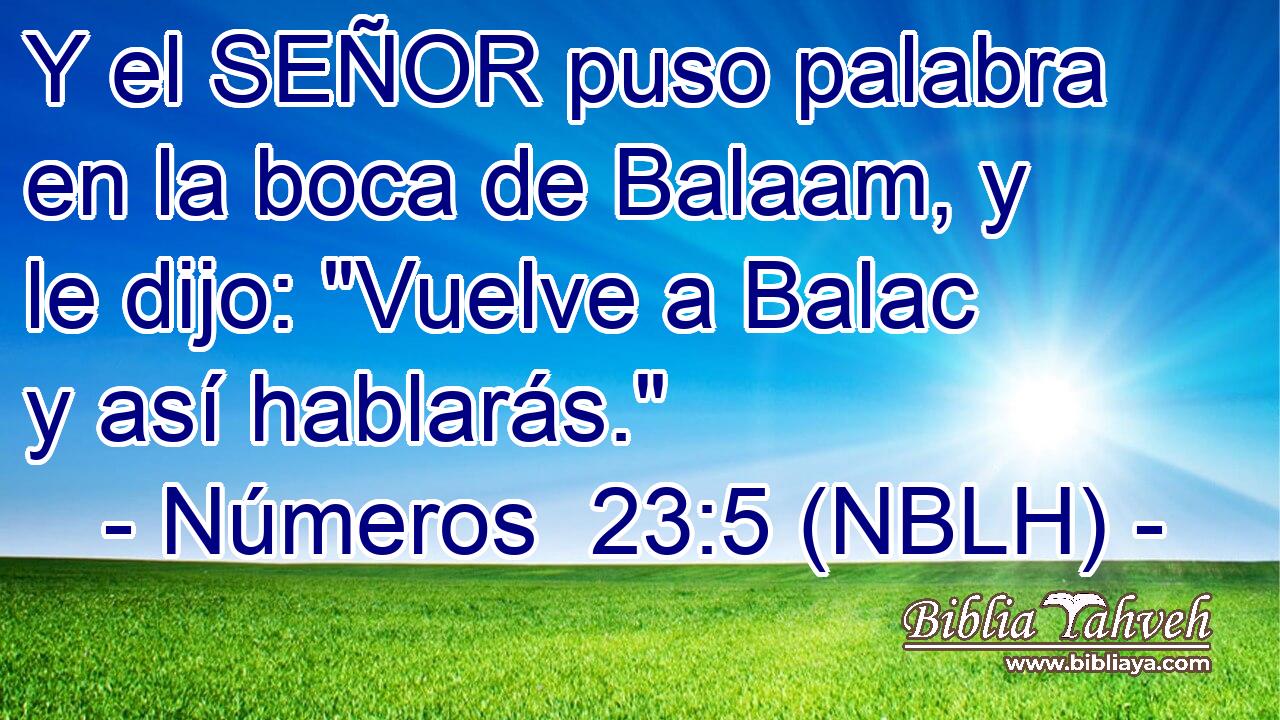  Y el SEÑOR puso palabra en la boca de Balaam, y le dijo: 