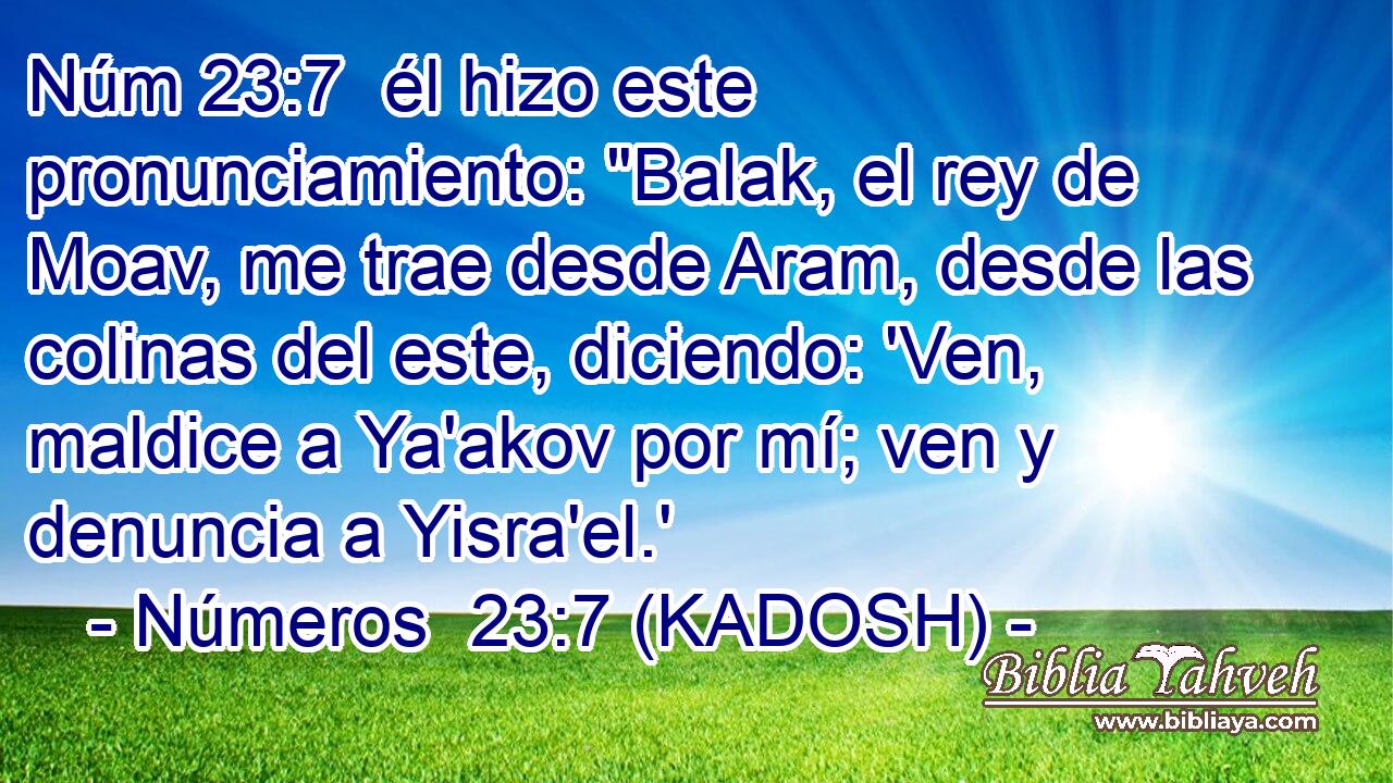  él hizo este pronunciamiento: 