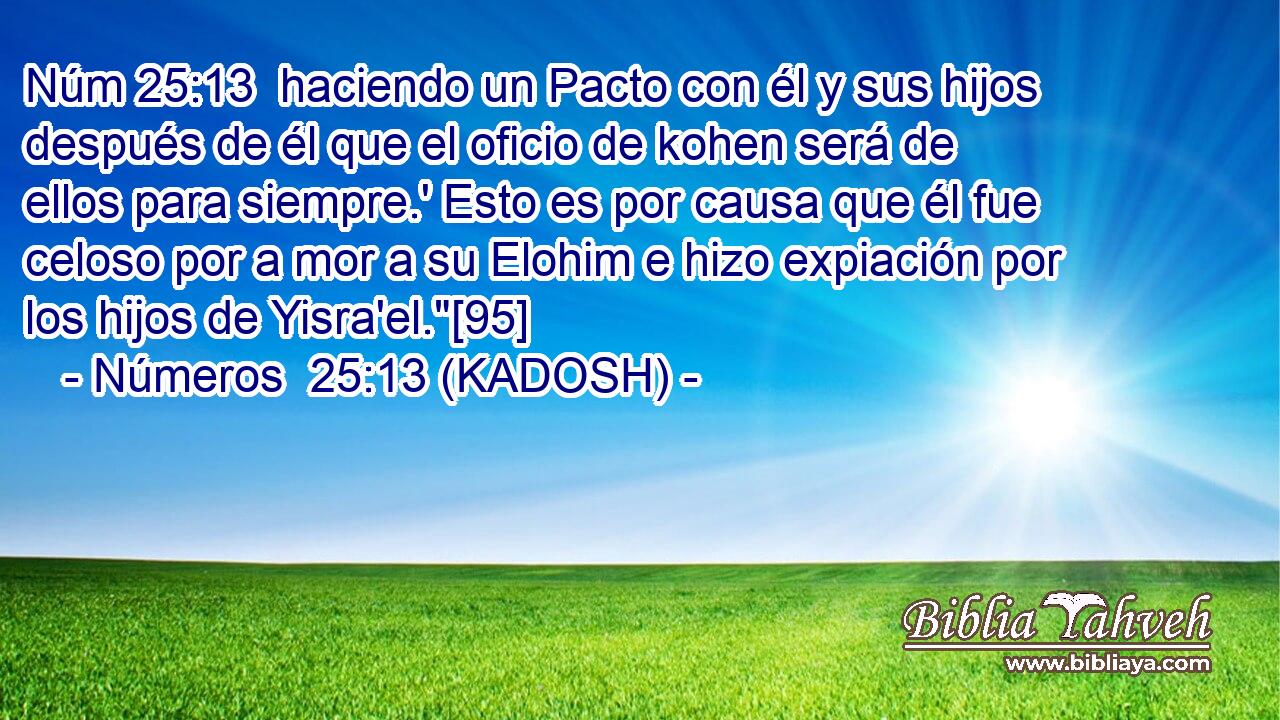  haciendo un Pacto con él y sus hijos después de él que el oficio de kohen será de ellos para siempre.' Esto es por causa que él fue celoso por a mor a su Elohim e hizo expiación por los hijos de Yisra'el.