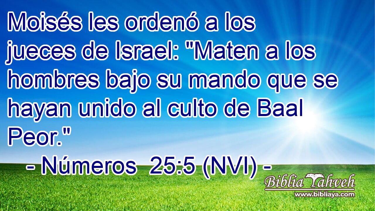  Moisés les ordenó a los jueces de Israel: 