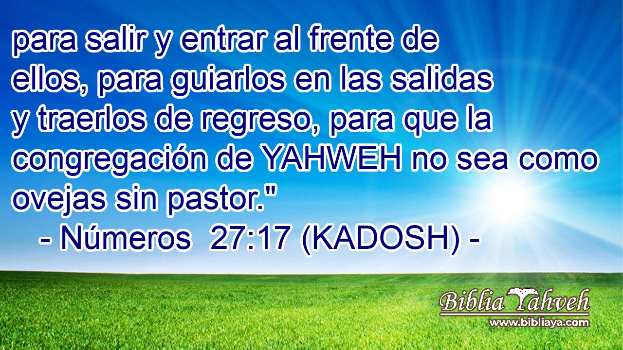  para salir y entrar al frente de ellos, para guiarlos en las salidas y traerlos de regreso, para que la congregación de YAHWEH no sea como ovejas sin pastor.