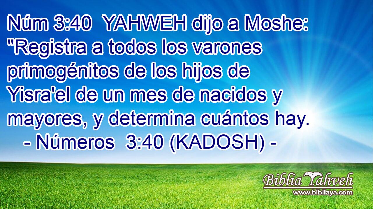  YAHWEH dijo a Moshe: 