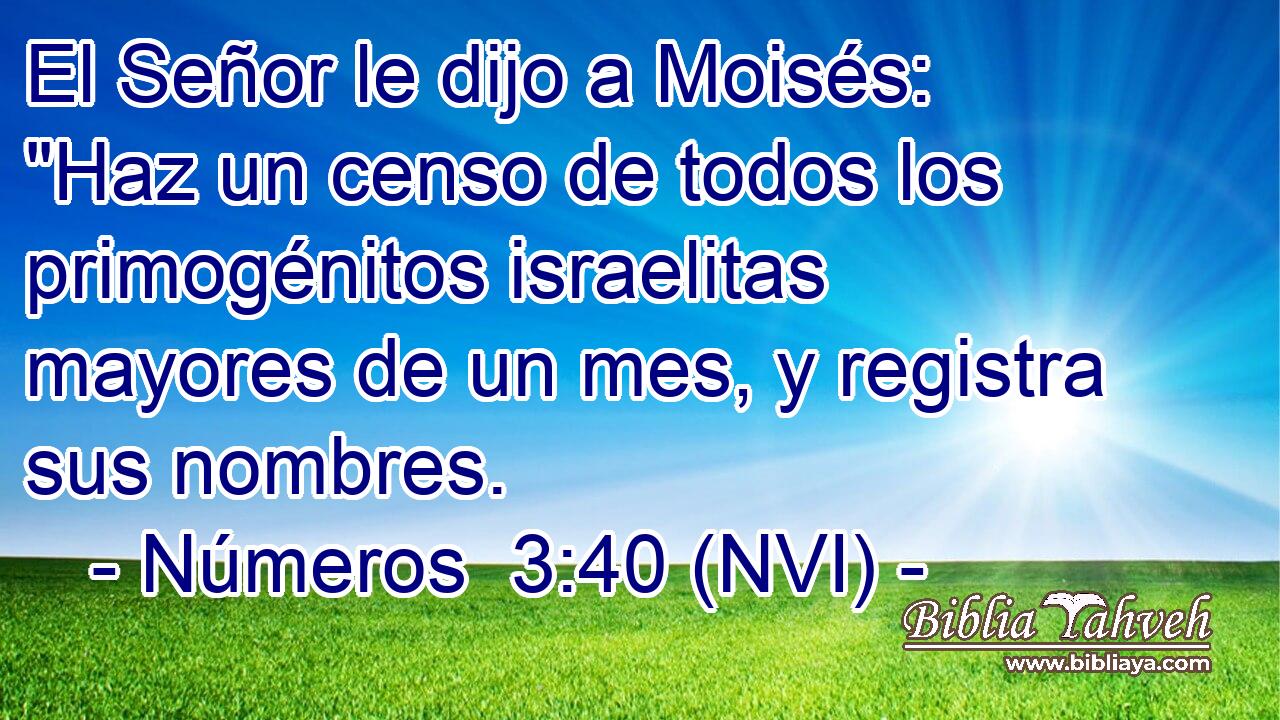  El Señor le dijo a Moisés: 