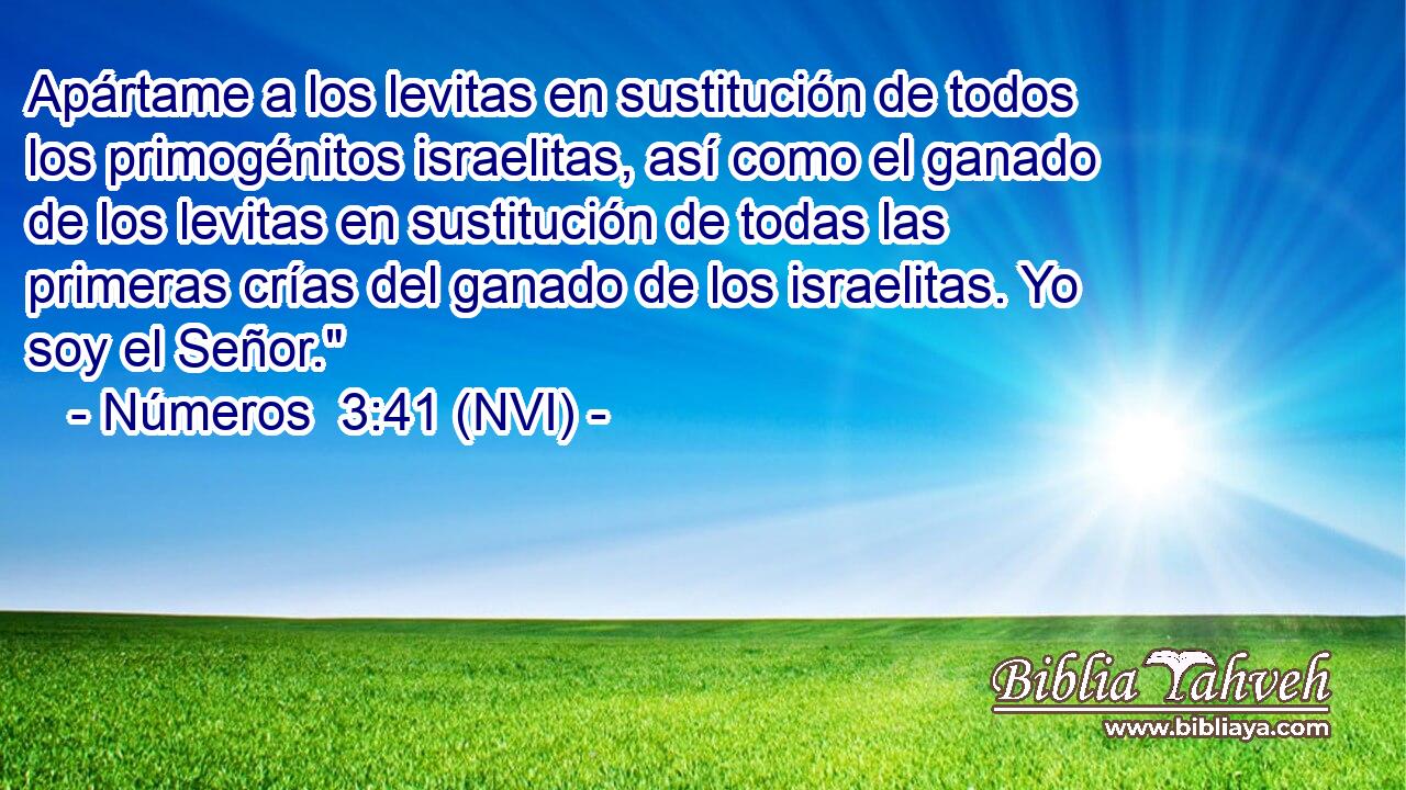  Apártame a los levitas en sustitución de todos los primogénitos israelitas, así como el ganado de los levitas en sustitución de todas las primeras crías del ganado de los israelitas. Yo soy el Señor.