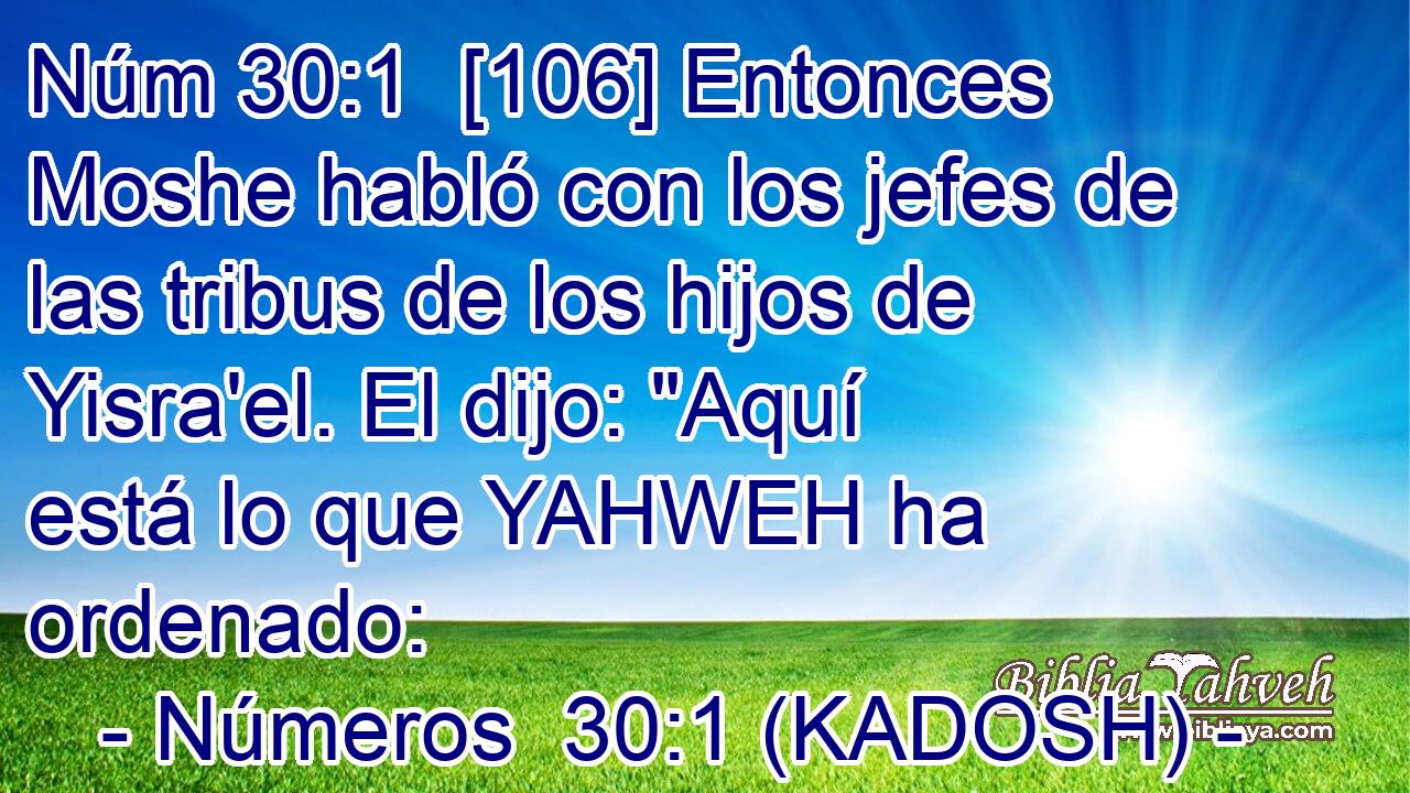  [106] Entonces Moshe habló con los jefes de las tribus de los hijos de Yisra'el. El dijo: 