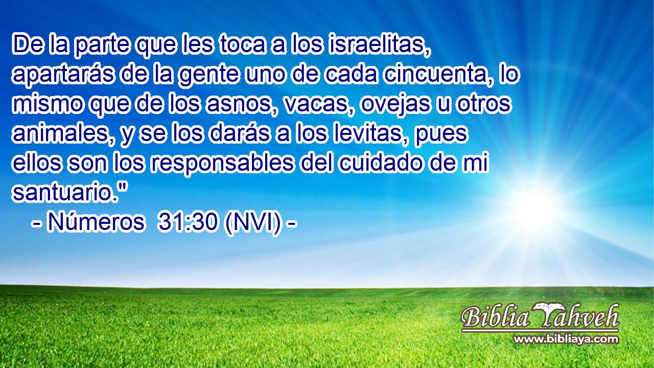  De la parte que les toca a los israelitas, apartarás de la gente uno de cada cincuenta, lo mismo que de los asnos, vacas, ovejas u otros animales, y se los darás a los levitas, pues ellos son los responsables del cuidado de mi santuario.