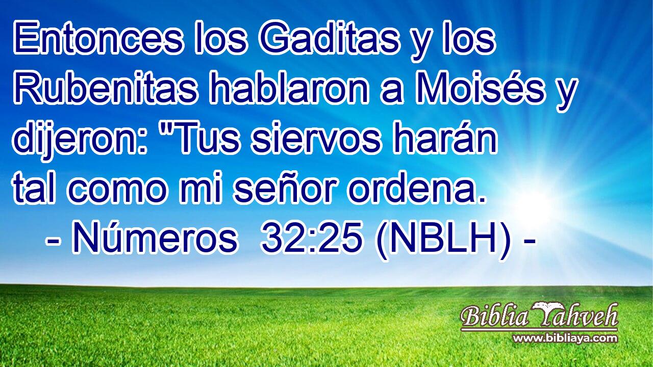  Entonces los Gaditas y los Rubenitas hablaron a Moisés y dijeron: 