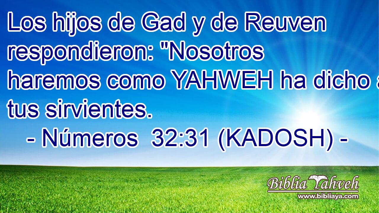  Los hijos de Gad y de Reuven respondieron: 