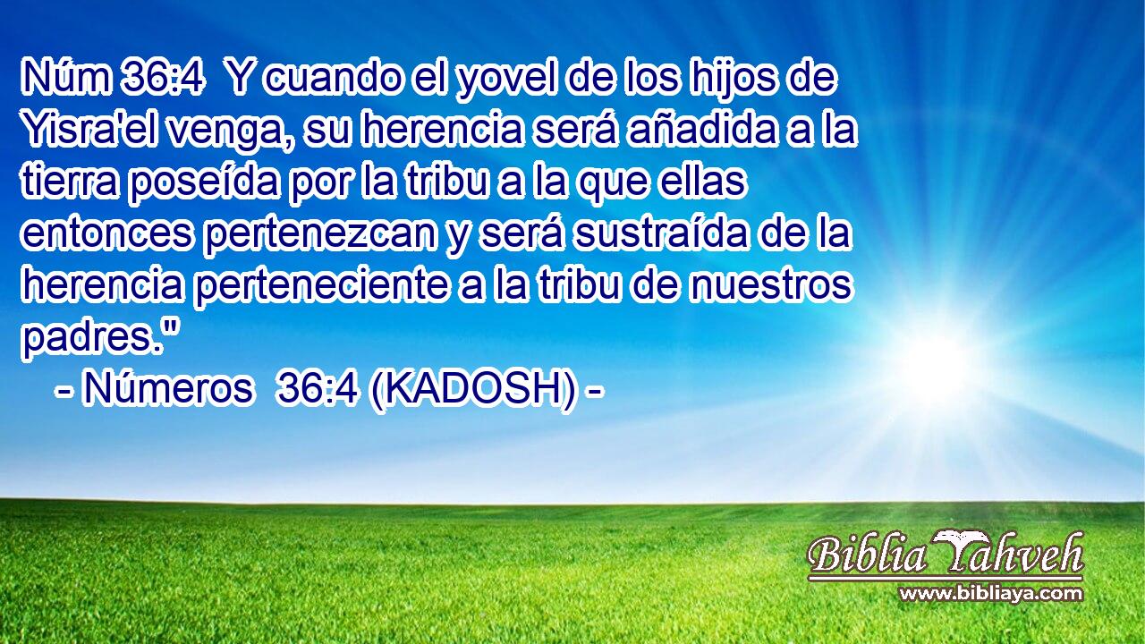  Y cuando el yovel de los hijos de Yisra'el venga, su herencia será añadida a la tierra poseída por la tribu a la que ellas entonces pertenezcan y será sustraída de la herencia perteneciente a la tribu de nuestros padres.