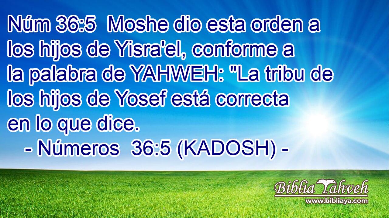  Moshe dio esta orden a los hijos de Yisra'el, conforme a la palabra de YAHWEH: 