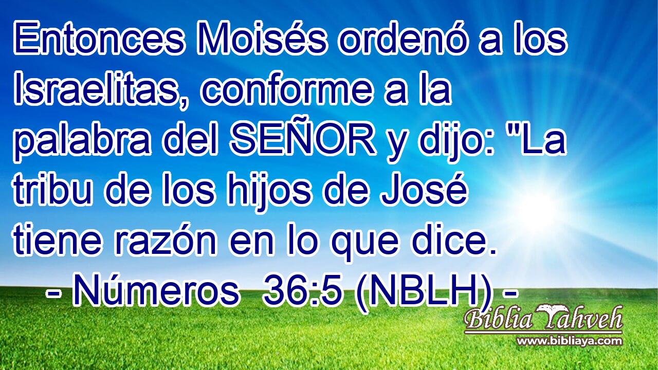  Entonces Moisés ordenó a los Israelitas, conforme a la palabra del SEÑOR y dijo: 