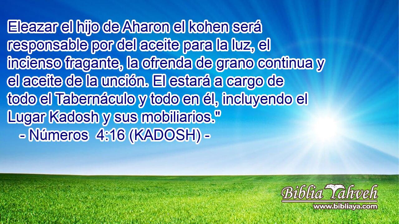  Eleazar el hijo de Aharon el kohen será responsable por del aceite para la luz, el incienso fragante, la ofrenda de grano continua y el aceite de la unción. El estará a cargo de todo el Tabernáculo y todo en él, incluyendo el Lugar Kadosh y sus mobiliarios.