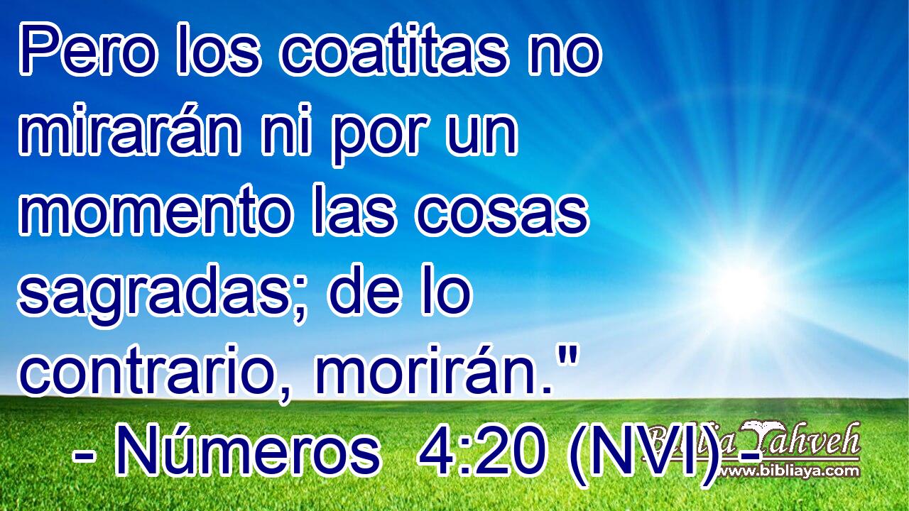  Pero los coatitas no mirarán ni por un momento las cosas sagradas; de lo contrario, morirán.
