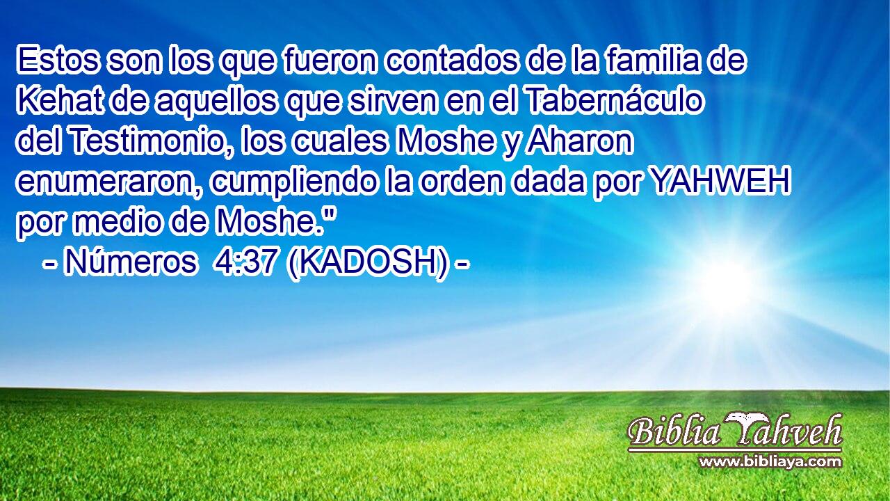  Estos son los que fueron contados de la familia de Kehat de aquellos que sirven en el Tabernáculo del Testimonio, los cuales Moshe y Aharon enumeraron, cumpliendo la orden dada por YAHWEH por medio de Moshe.