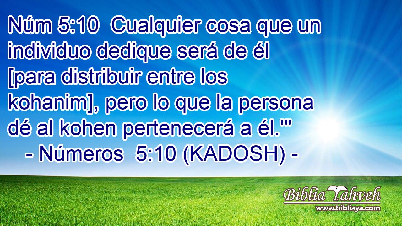  Cualquier cosa que un individuo dedique será de él [para distribuir entre los kohanim], pero lo que la persona dé al kohen pertenecerá a él.'