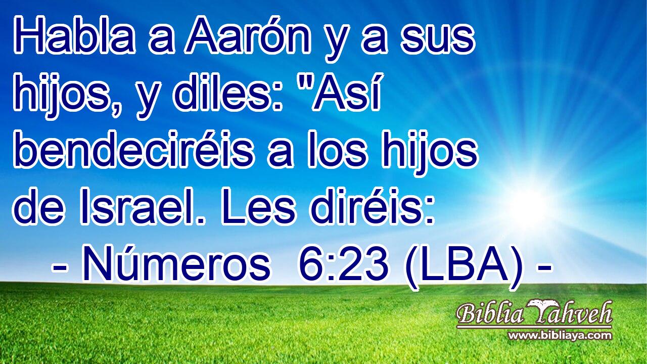 Habla a Aarón y a sus hijos, y diles: 